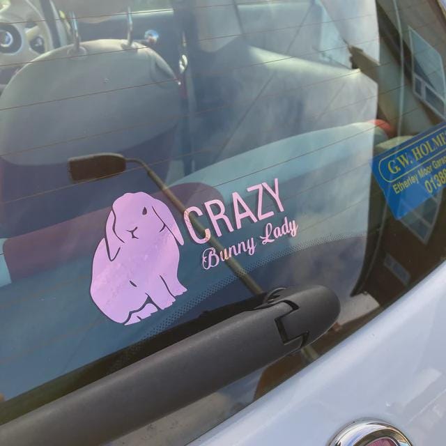 Personalised Car/Van/Camper Vinyl Decal Sticker Customise Text